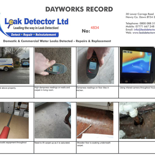 Water Leak in a Home in Lisburn Co. Antrim