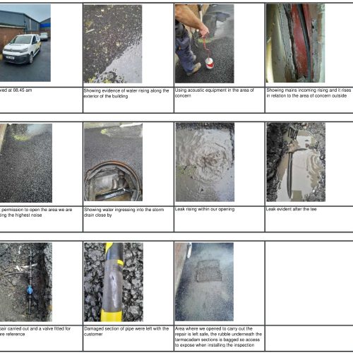 National Reptile Zoo – Car Park Leak